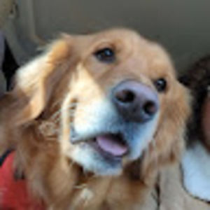 Meet your Posher, Aiden